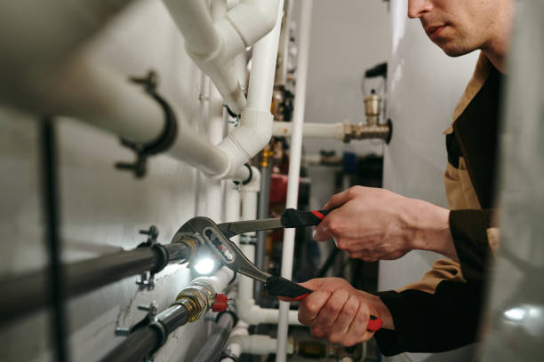 Best Clogged Drain Plumber  in Maplewood, MN