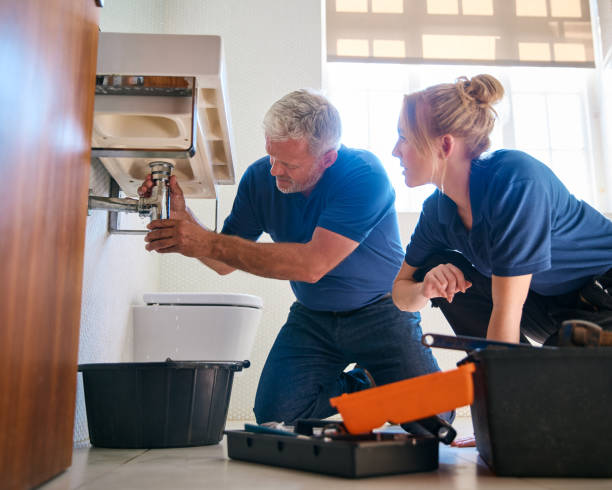 Best Affordable Plumbing Services  in Maplewood, MN