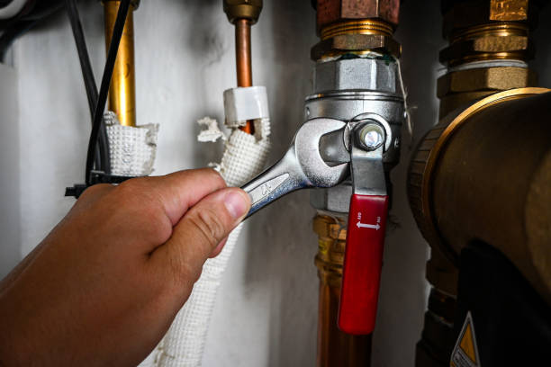 Best Local Plumber Services  in Maplewood, MN